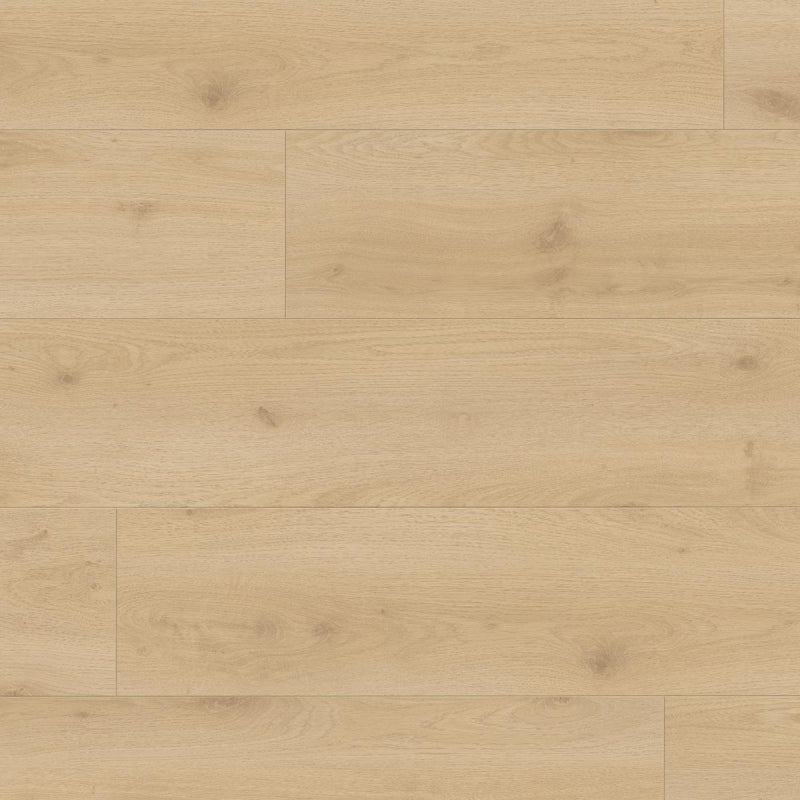 Douwes Dekker Brede plank Chili
