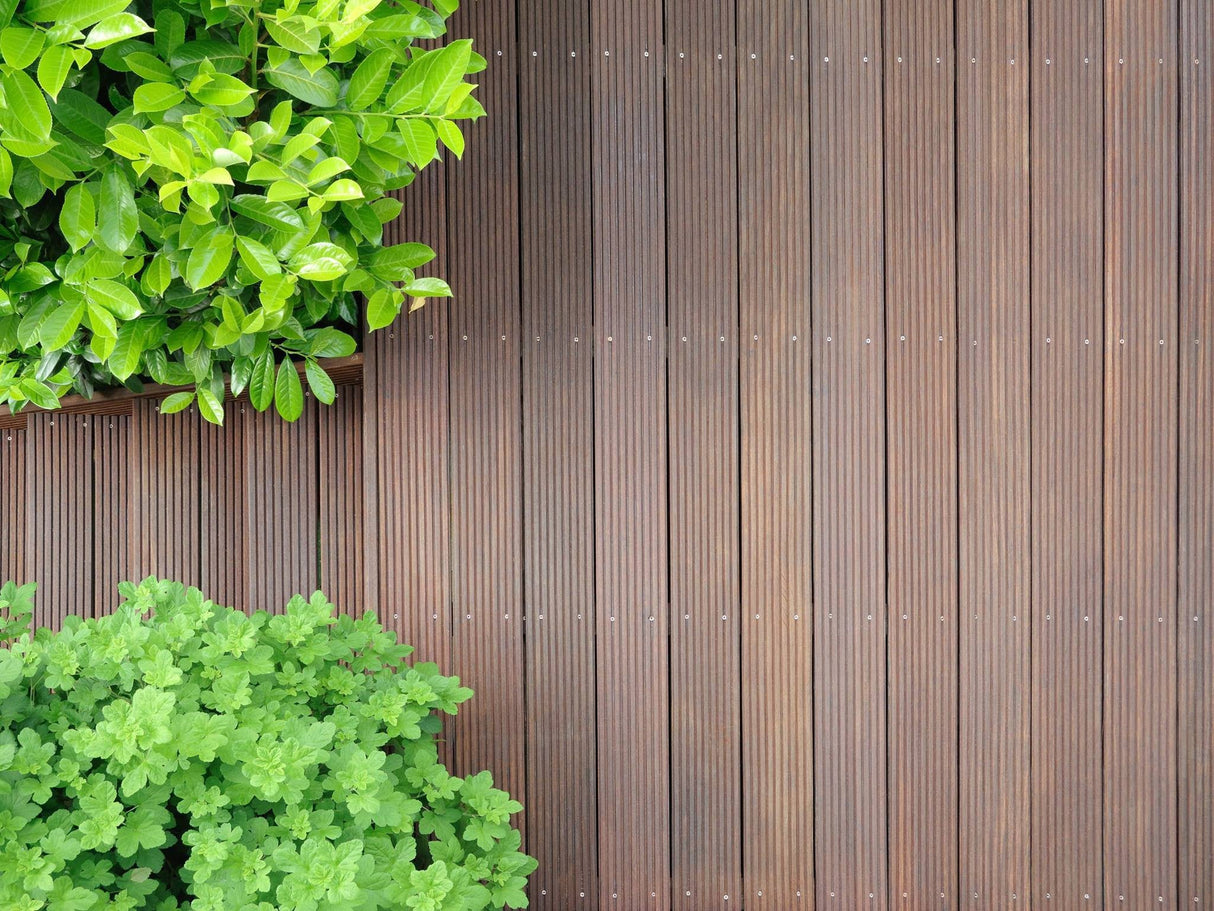 Handschrobborstel Blue Dolphin