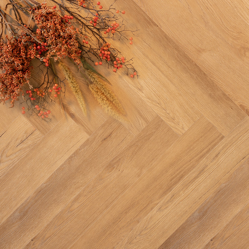 Douwes Dekker PVC dryback visgraat gemberkoek