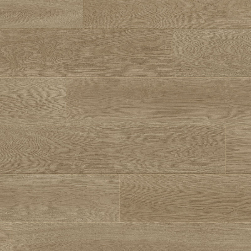 Dahlia off white, 19,2cm PB 4V, Laminaat by Homburg