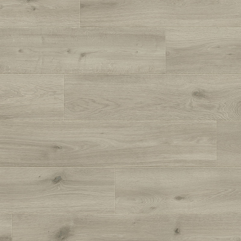 Silk Zilver, Laminaat by Homburg