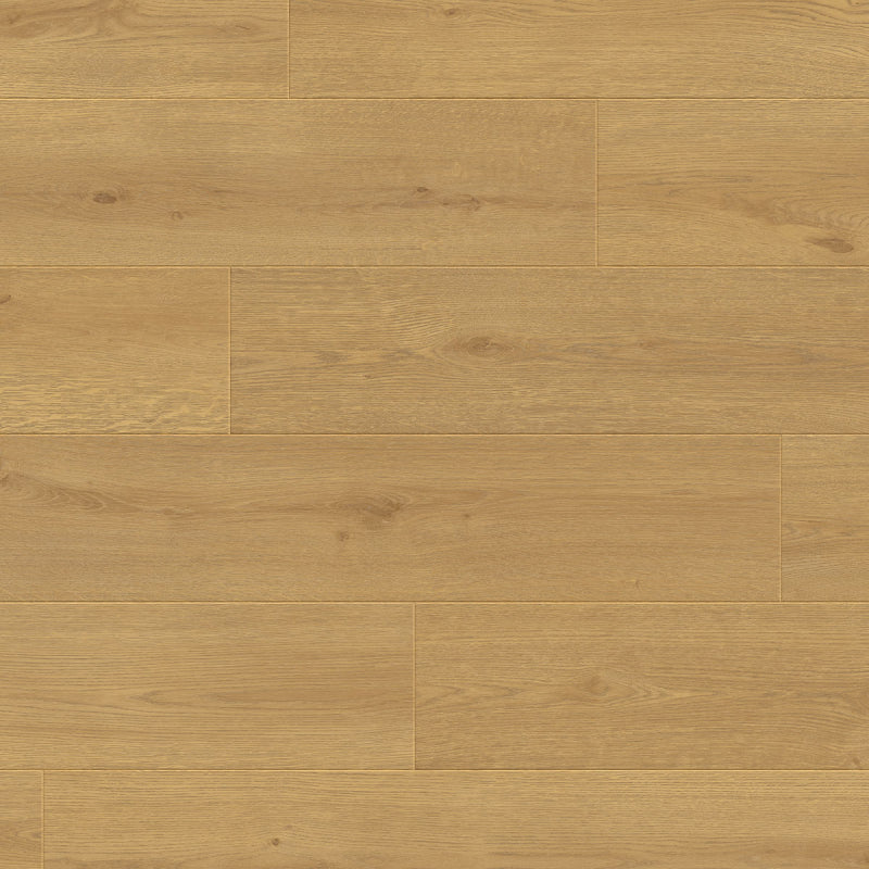 Dahlia Sand, , Laminaat by Homburg