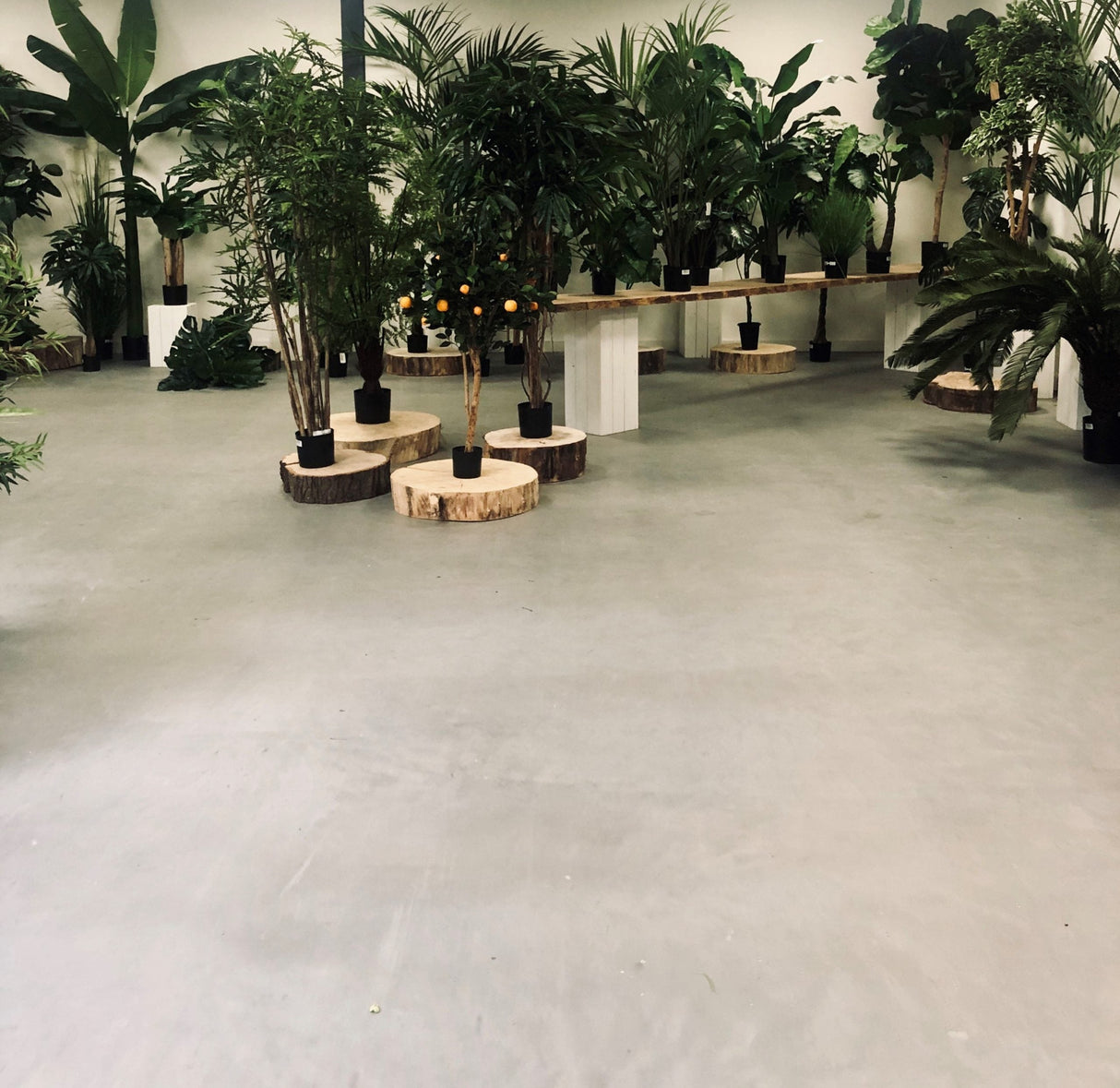 Blue Dolphin Eco Concrete Primer 5L