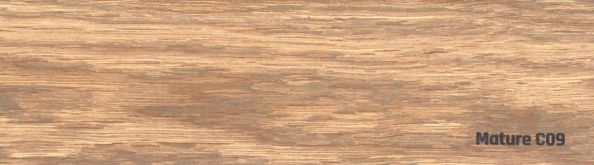 ROYL Oil-2K Mountain Grey C09 0,5L 4111