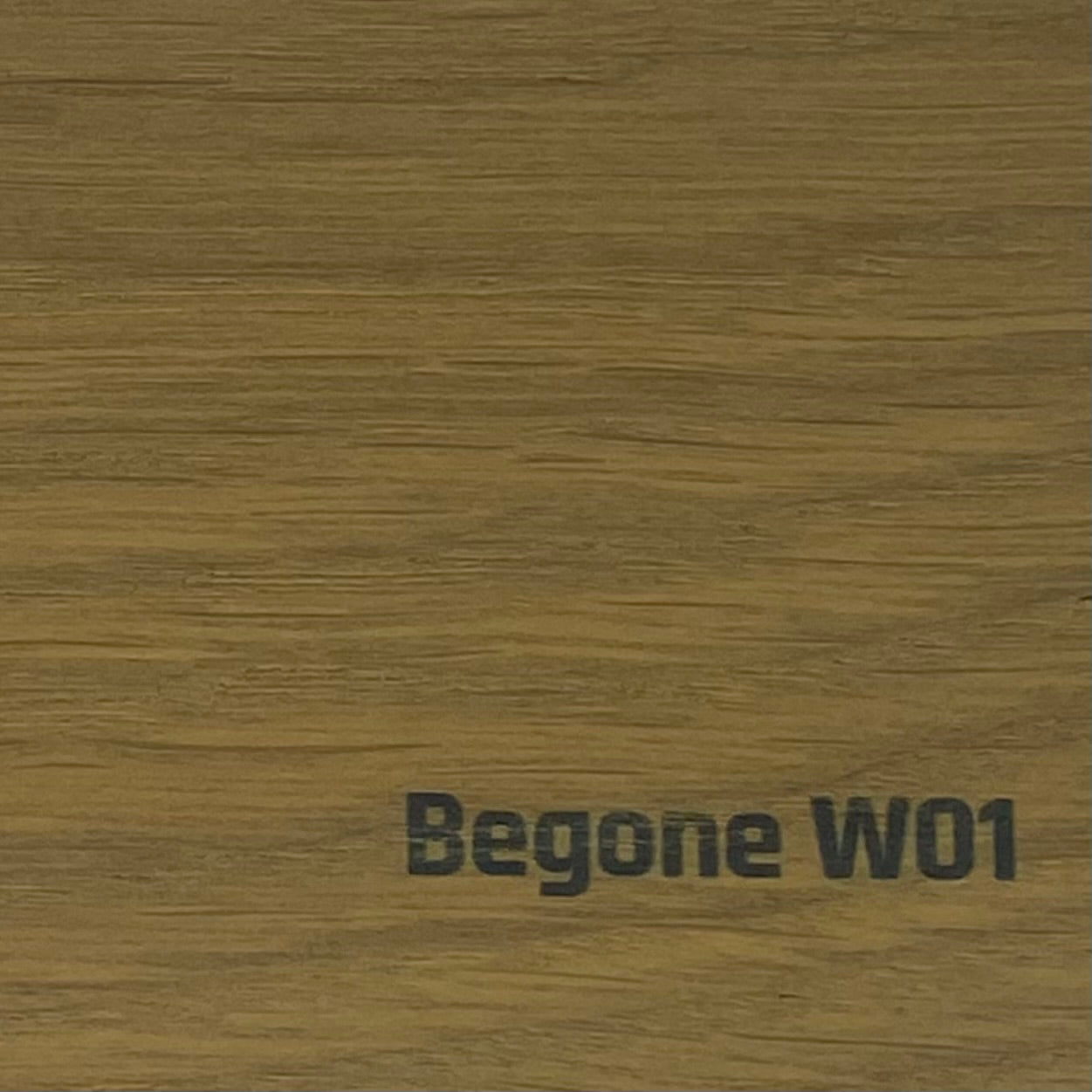 Kleurmonster Begone W01