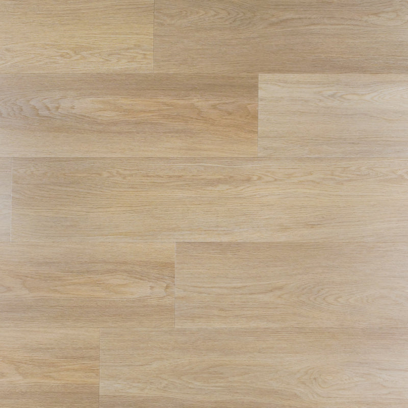 Magnolia plank SPC Rigid by Homburg