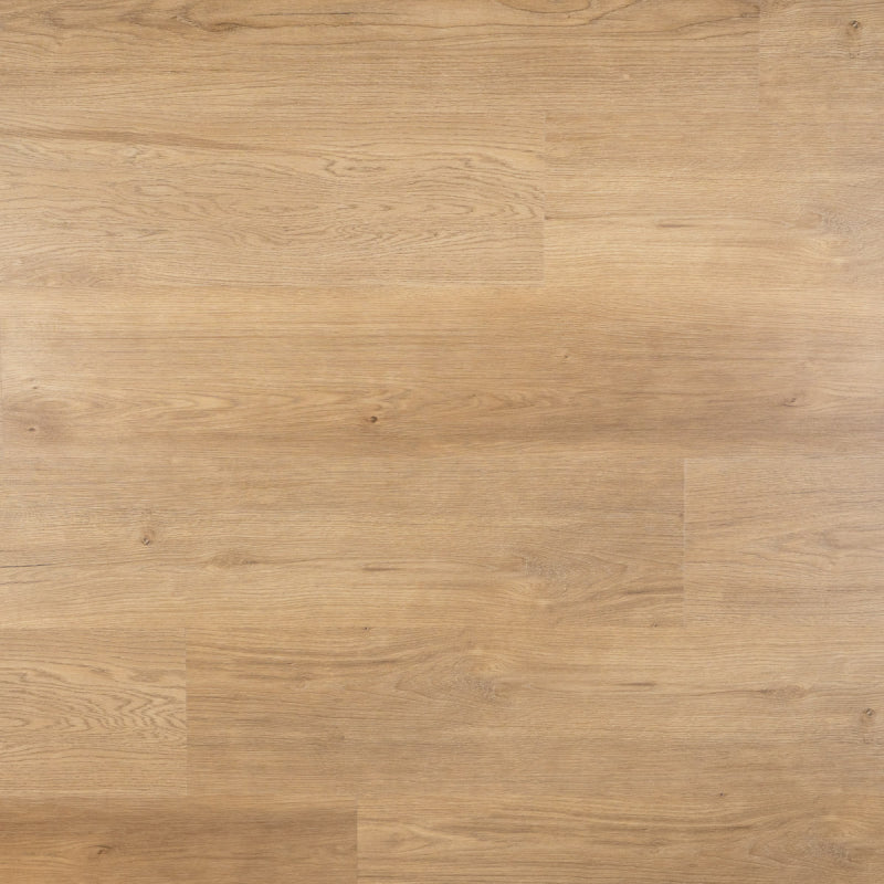 Lux Plank Dryback, PVC by Homburg