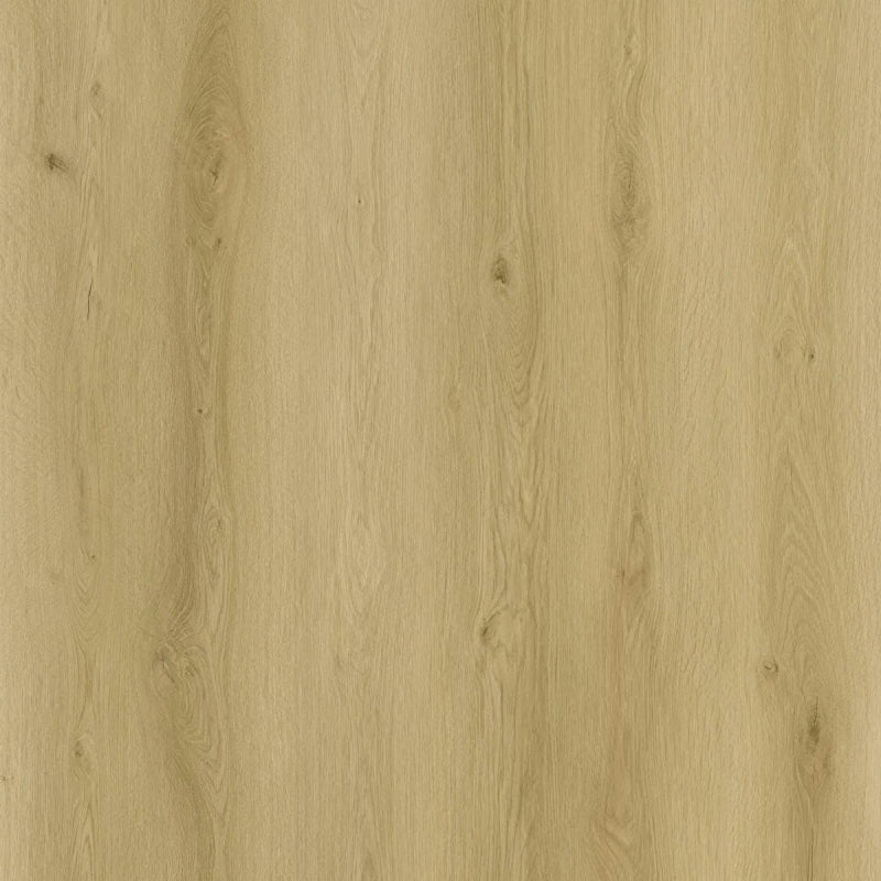 SENSE 530 EXLargo SPC 220x26 cm