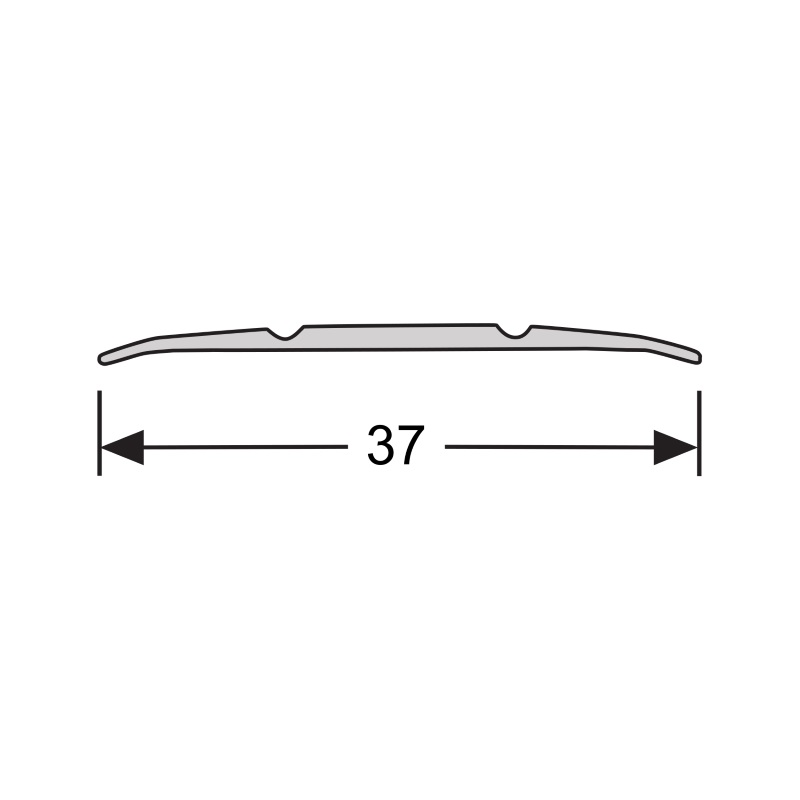Dilatatieprof. zelfkl. 37 mm alu RVS geborsteld, 100cm lang Dilatatieprof. zelfkl. 37 mm alu RVS geborsteld, 100cm lang
