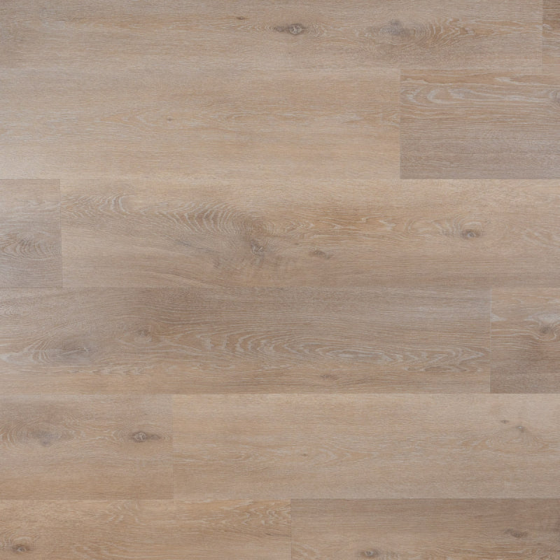 Ava SPC click plank Rigid, PVC by Homburg
