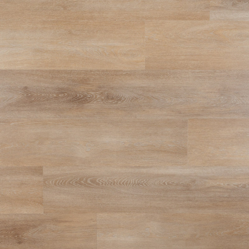 Ruby PVC plank Dryback, PVC by Homburg