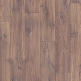 Quick-Step Classic, Midnight Eik Donker