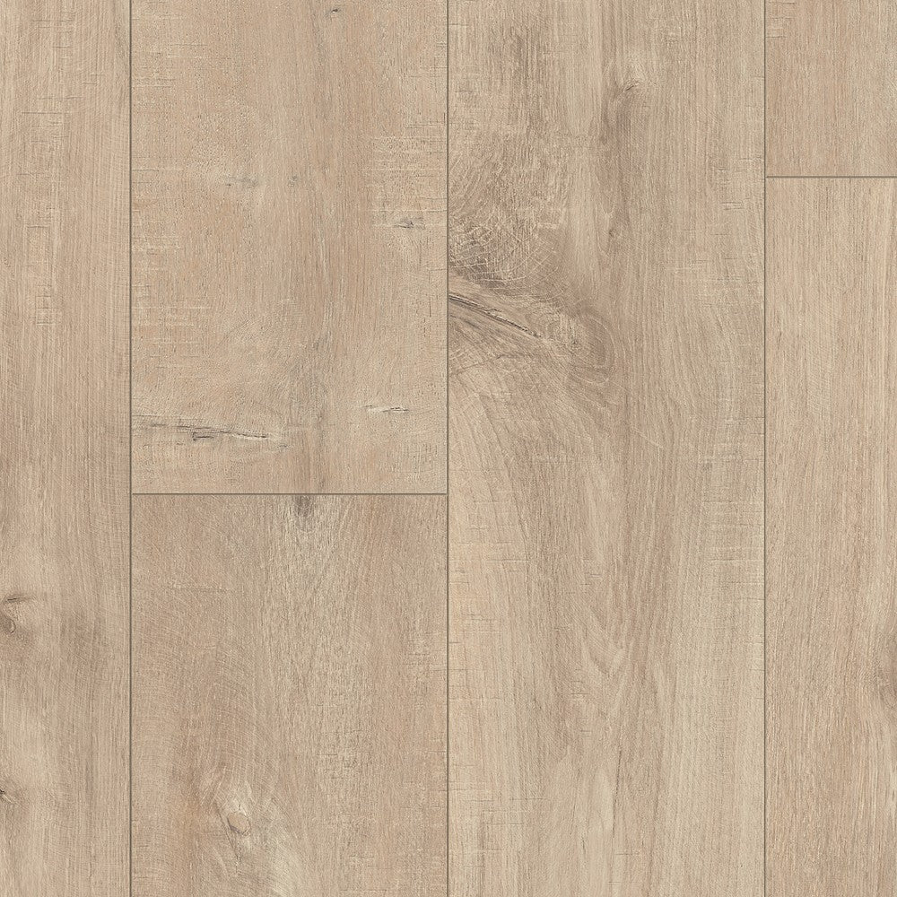 Quick-Step Dominicano eik natuur