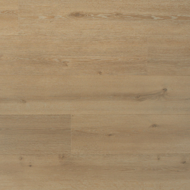 Douwes Dekker Trots Solide Plank Laurier met velling, 19,2 cm breed