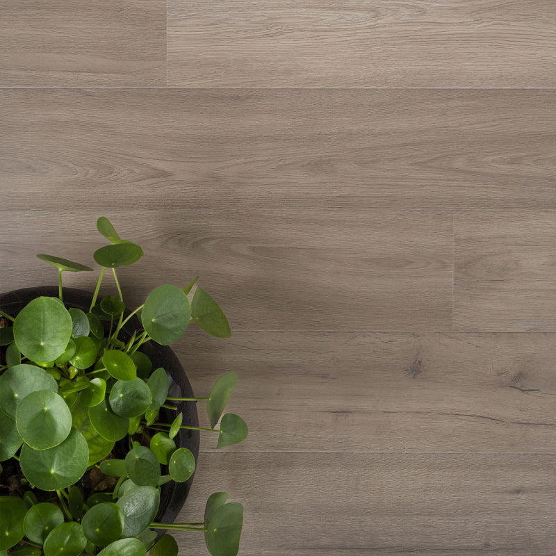 Douwes Dekker Trots Solide Plank Marjolein met velling, 19,2 cm breed