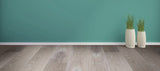 Blue Dolphin One Coat 2K Oil Super White demo/bijwerk blikje ( harder los verkocht)